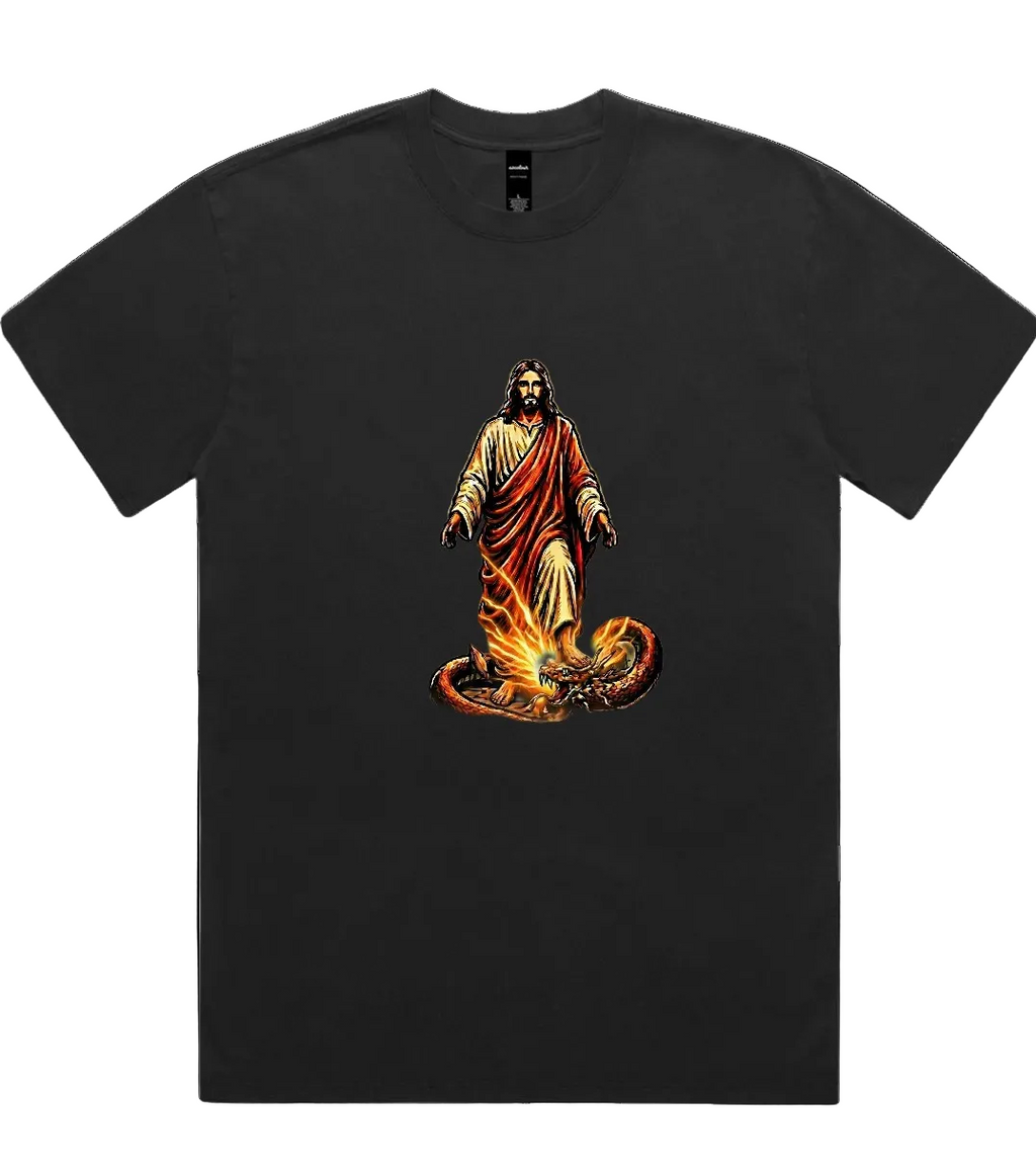 Steppin On Snakes Oversized Faded Tee