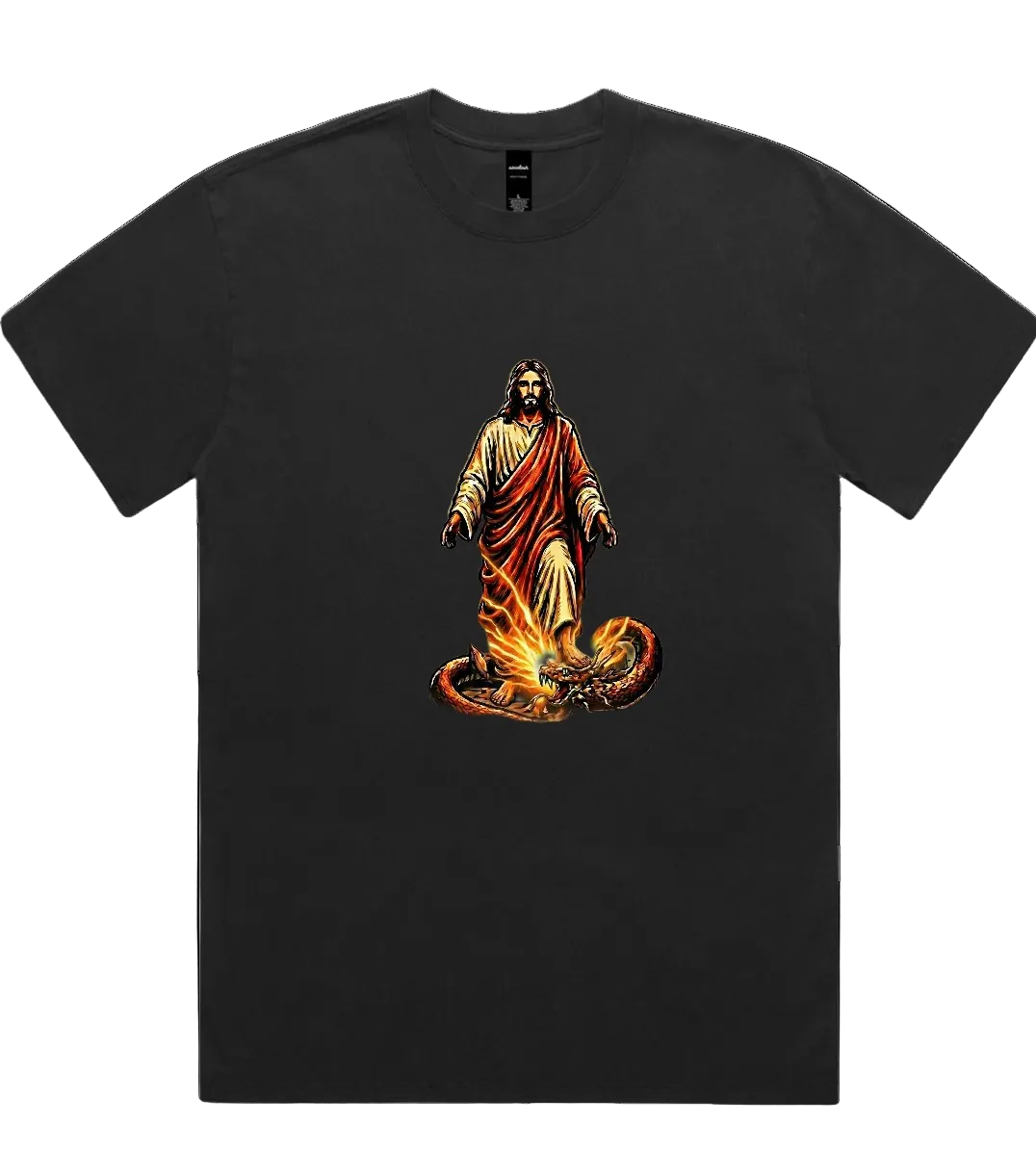 Steppin On Snakes Oversized Faded Tee