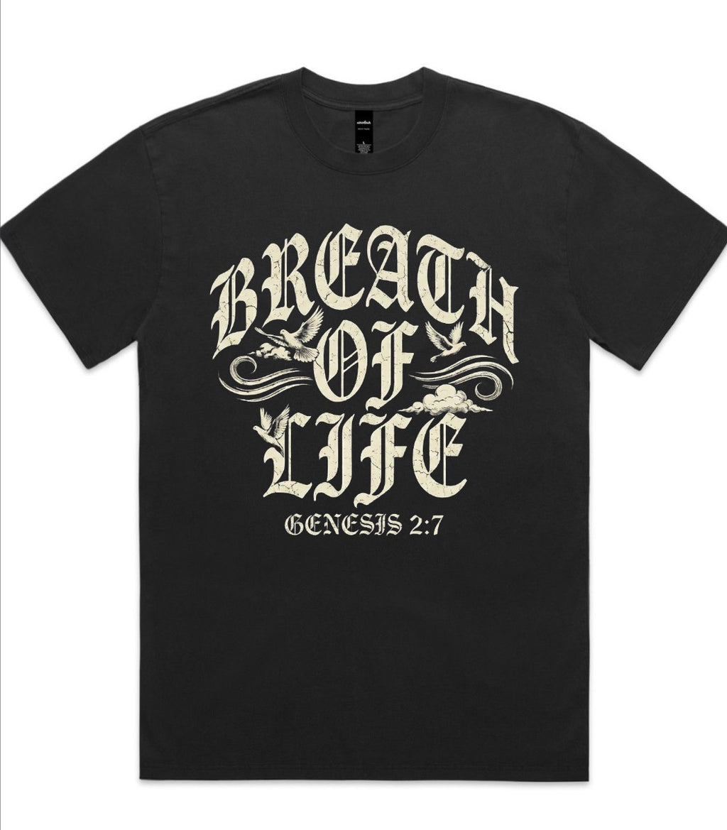 Breath Of Life Oversized Faded Tee