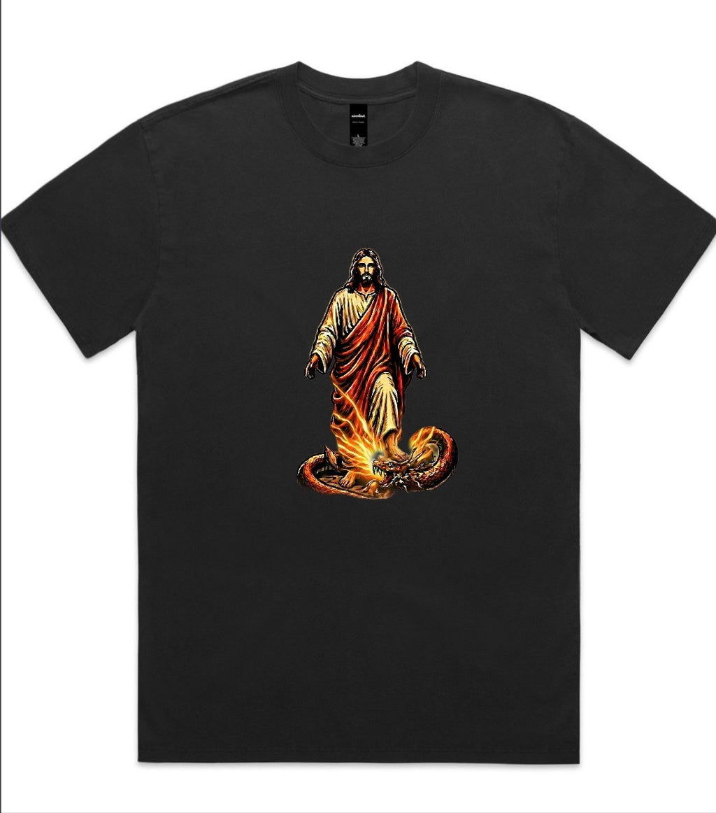 Steppin On Snakes Oversized Faded Tee