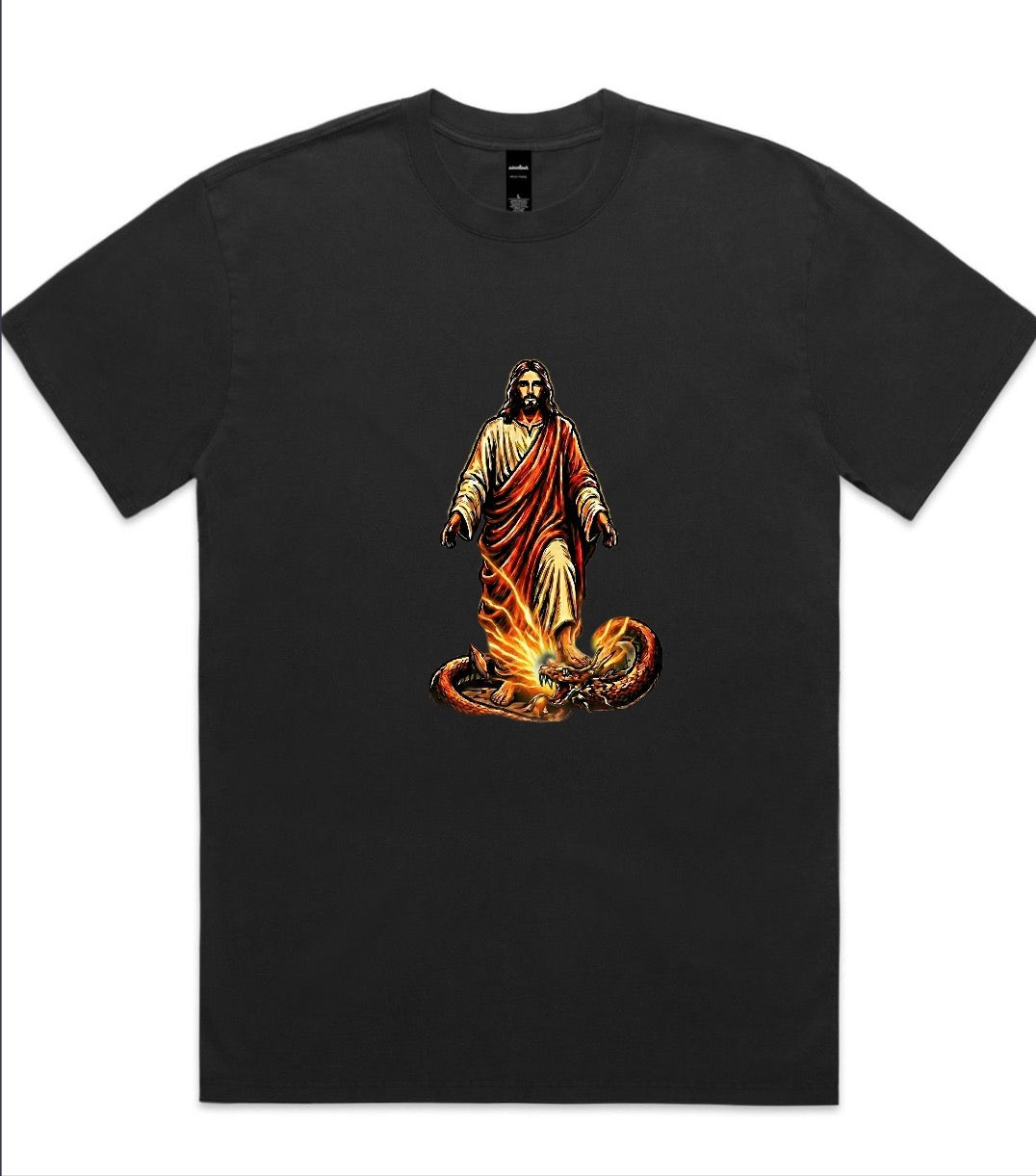 Steppin On Snakes Oversized Faded Tee